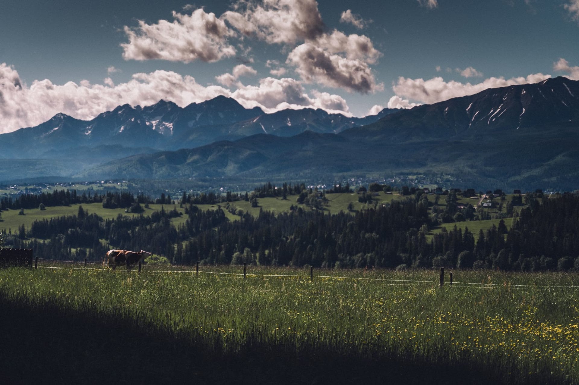 Panorama Tatr i hala nad Zębem